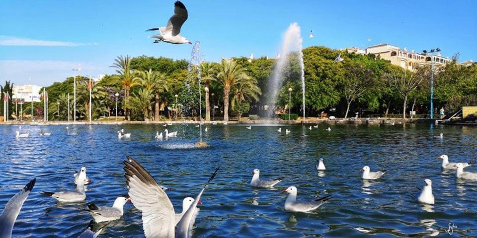 דירות Torrevieja Experience San Julian מראה חיצוני תמונה